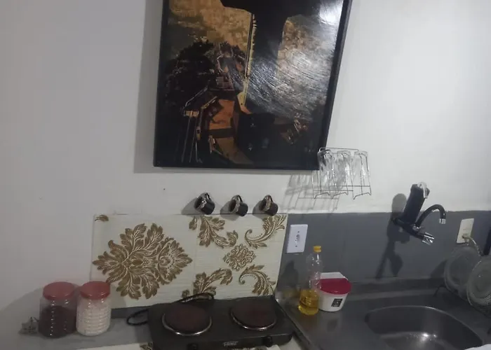 Lindo Apartamento Com Toda Infraestrutura E Muito Proximo A Praia Rio de Janeiro
